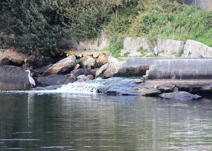 O Cruceiro Kır Evi *