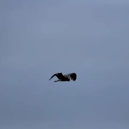 Landhaus O Cruceiro *