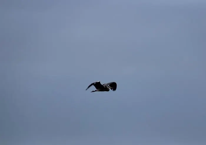 منزل ريفي O Cruceiro *